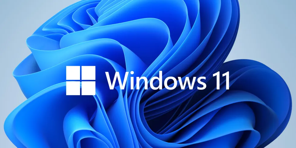Jak vyřešit přechod na Windows 11?
